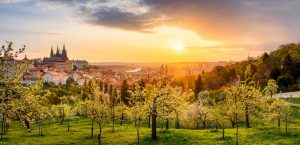 Spring view of Prague at sunrise from Petrin hill